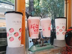 -伏小桃(明瓦廊店)