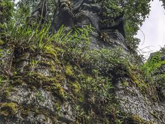 -梭布垭石林景区