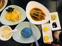 -Asianplus海蓝鸡饭