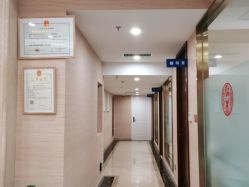 -碧莲盛·不剃发植发