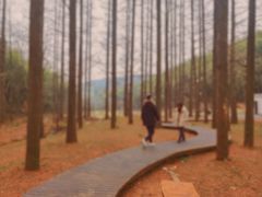 -南京市无想山景区