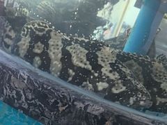 -百富源·海鲜辽菜(张士店)