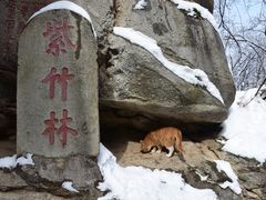 -终南山南五台景区
