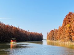 -上海海湾国家森林公园