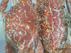 -秋姐美食店 始于2014年(旅游大道店)