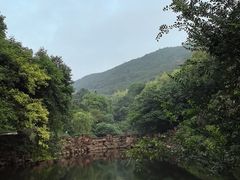 -冶父山国家森林公园