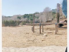 -棋盘山风景区