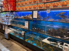 水产区-盒马鲜生(宝地店)