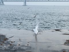 -星海广场
