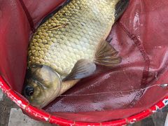 -酷鱼垂钓CLUB(朝阳区博大路店 )