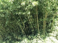 -欧韵公园