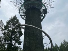 -黄海国家森林公园