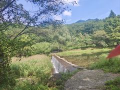 -三块石国家森林公园