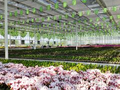 -兰陵国家农业公园