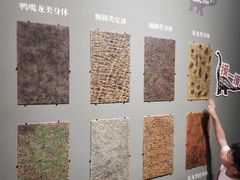 -遇见博物馆(遇见海洋沉浸式奇幻光影展)