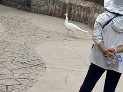 -哈尔滨北方森林动物园