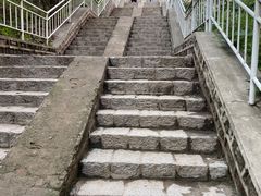 -白水寺森林公园