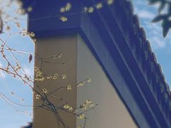 -慧因高丽寺