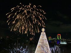 -台场海滨公园船码头