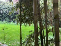 -老洋房花园饭店(绍兴路店)