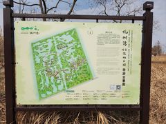 -宁波杭州湾国家湿地公园