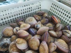 -南庄酒家·海鲜粤菜·25年老字号(环城南路店)