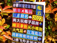 -瑞幸咖啡(经四路万达写字楼店)