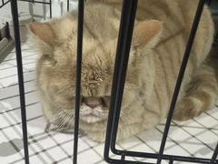 -1013 PET SHOP 宠物商店(近铁城市广场店)