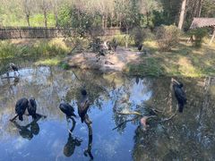 -沈阳鸟岛