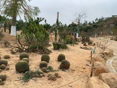 -东莞植物园