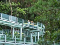 -牛鱼嘴原始生态风景区
