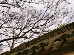 -上海佘山国家森林公园天马山园