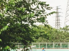 -永定河休闲森林公园