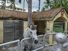 -三亚亚龙湾天域度假酒店