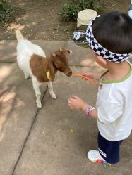 -优沃得自然教育农场·冰雪乐园·生日会·研学