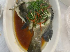 -众味海鲜大排档·活海鲜·潮汕味(南澳店)