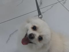 -嘉馨宠物医院·CT影像转诊·心脏科·犬猫全科诊疗中心(下沙大学城院区)