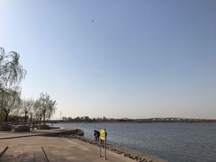 -天津金海湖