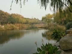 android_upload_pic-新江湾城公园