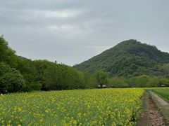 -八卦田遗址公园