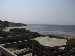 -企鹅岛