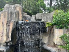 -上海野生动物园