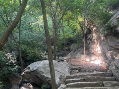 -大岭沟猕猴桃谷风景区