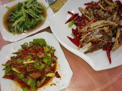 -山丹皇家马场