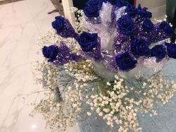 -静博士·养生养颜