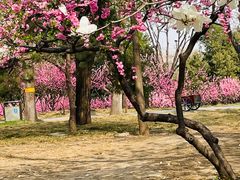 -玲珑塔公园