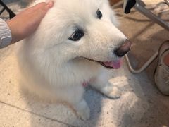 -omitofee咖啡(水泽店)
