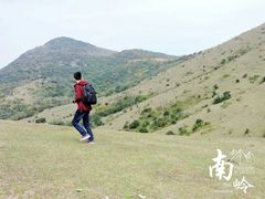 -大姆山草场