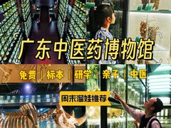 -广东中医药博物馆