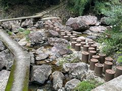 -花岩国家森林公园